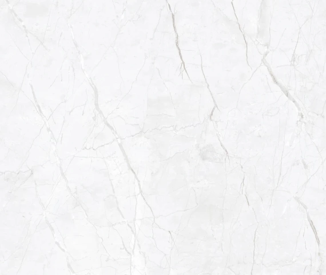 LUCIAR LIGHT GREY-M62036 - 600 X 1200 MM