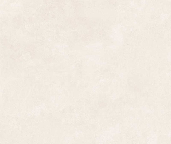 33205