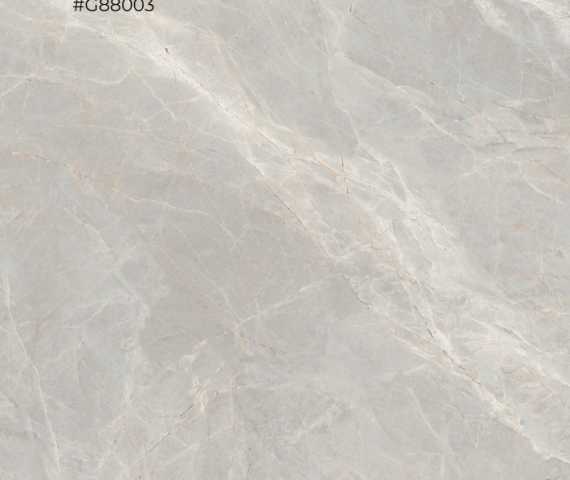 alicante-light-grey-g88003-800-x-800-mm