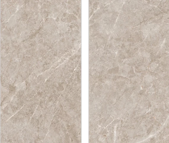 cromatic-light-grey-g62010-600-x-1200-mm