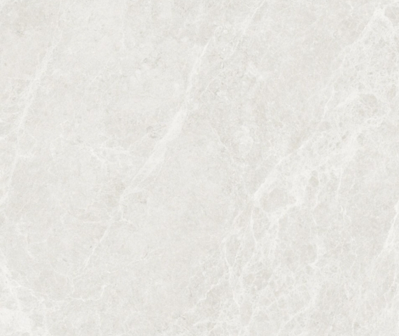 dove-light-grey-g1212009-1200-x-1200-mm