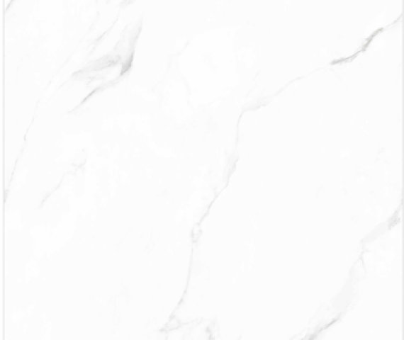 gach-an-do-800x800-planta-staturio-m88001