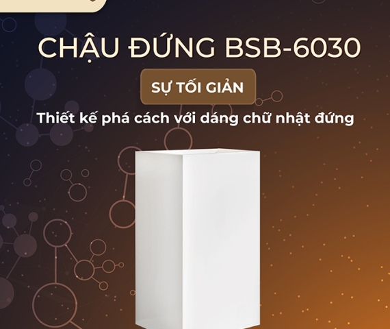 chau-rua-dat-san-basic-bsb-6030