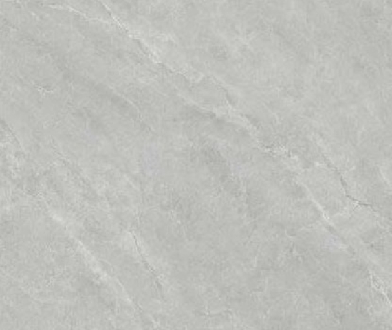 viva-fossil-g1010019-1000-x-1000-mm